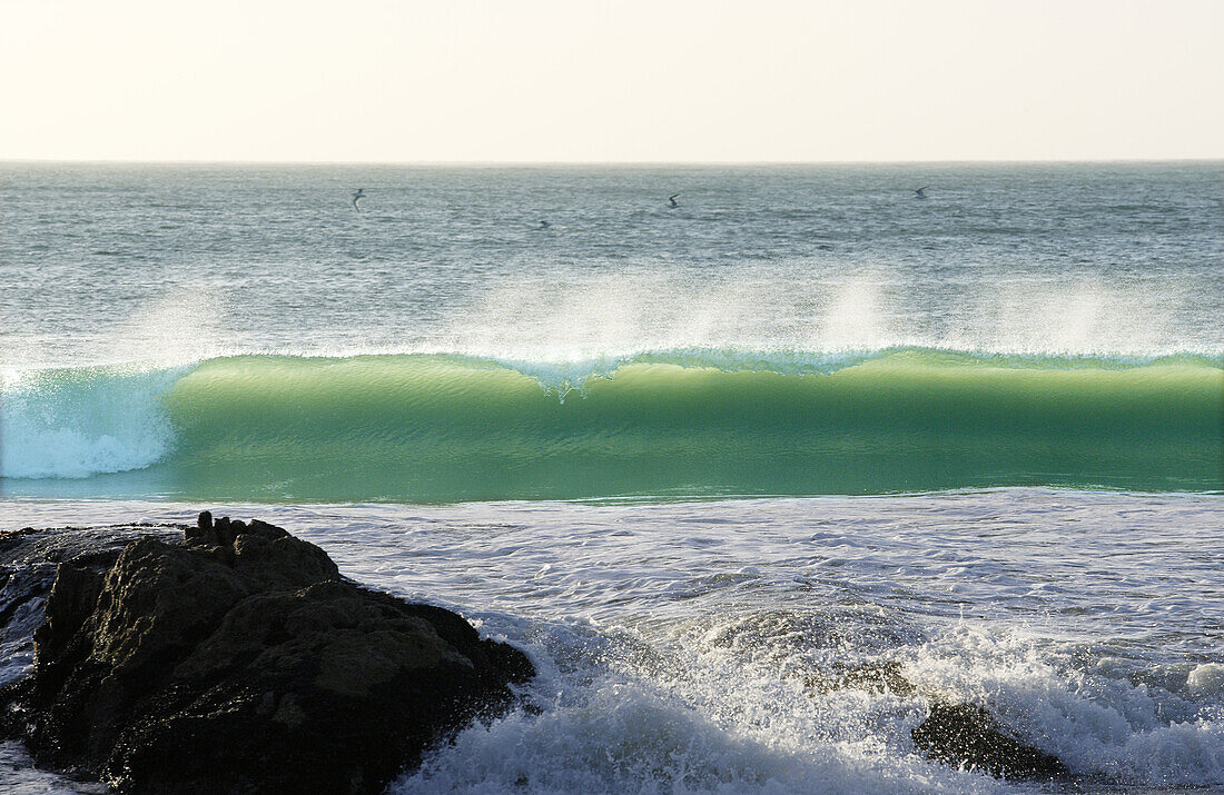 Brechende Welle, Paternoster, Westkap, Südafrika