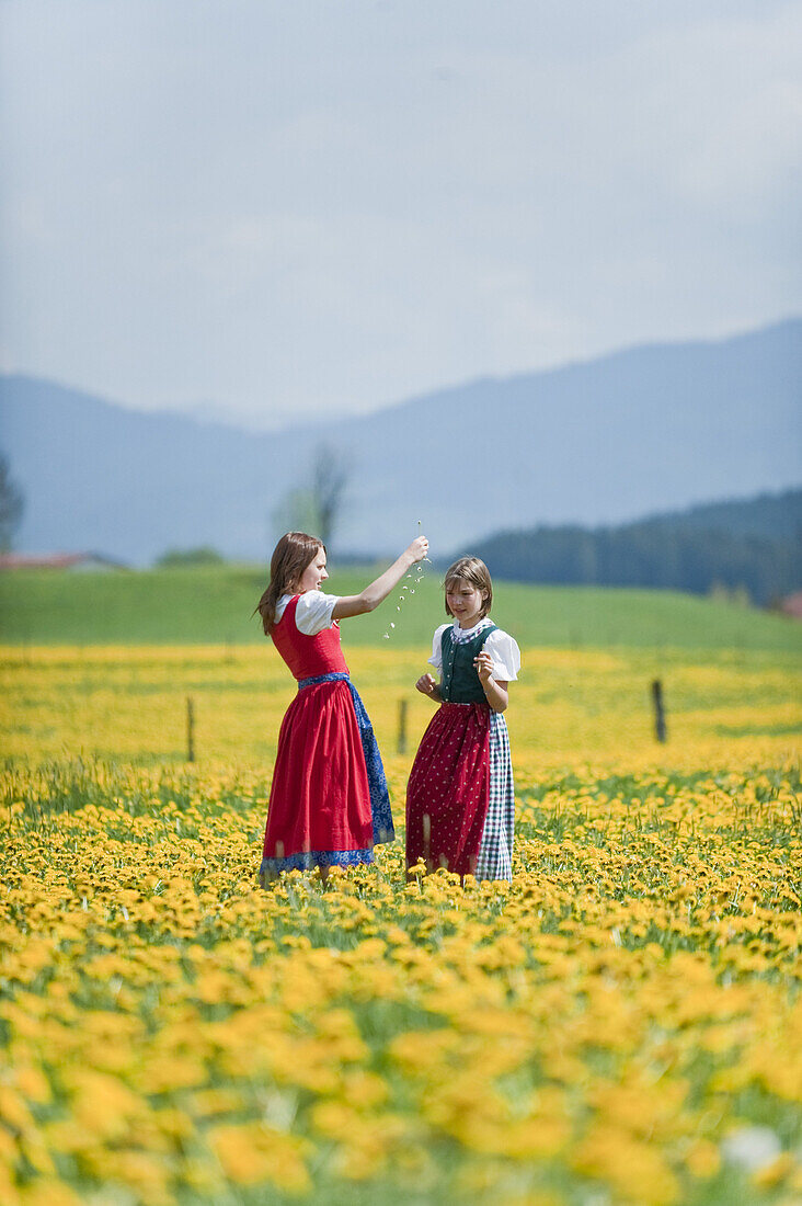 Zwei Mädchen in einer Löwenzahnwiese, Antdorf, Oberbayern, Deutschland