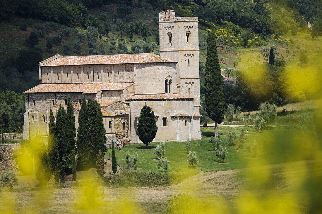 Kloster Sant' Antimo, Castelnuovo dell' Abate, bei Montalcino,  Toskana, Italien