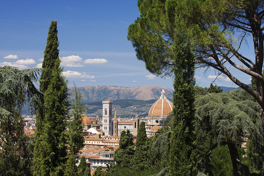 View from Piazza Michelangelo over Florence and the cathedral, Florence, Tuscany, Italy