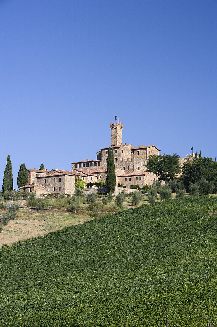 Castello Banfi, bei Montalcino, Toskana, Italien