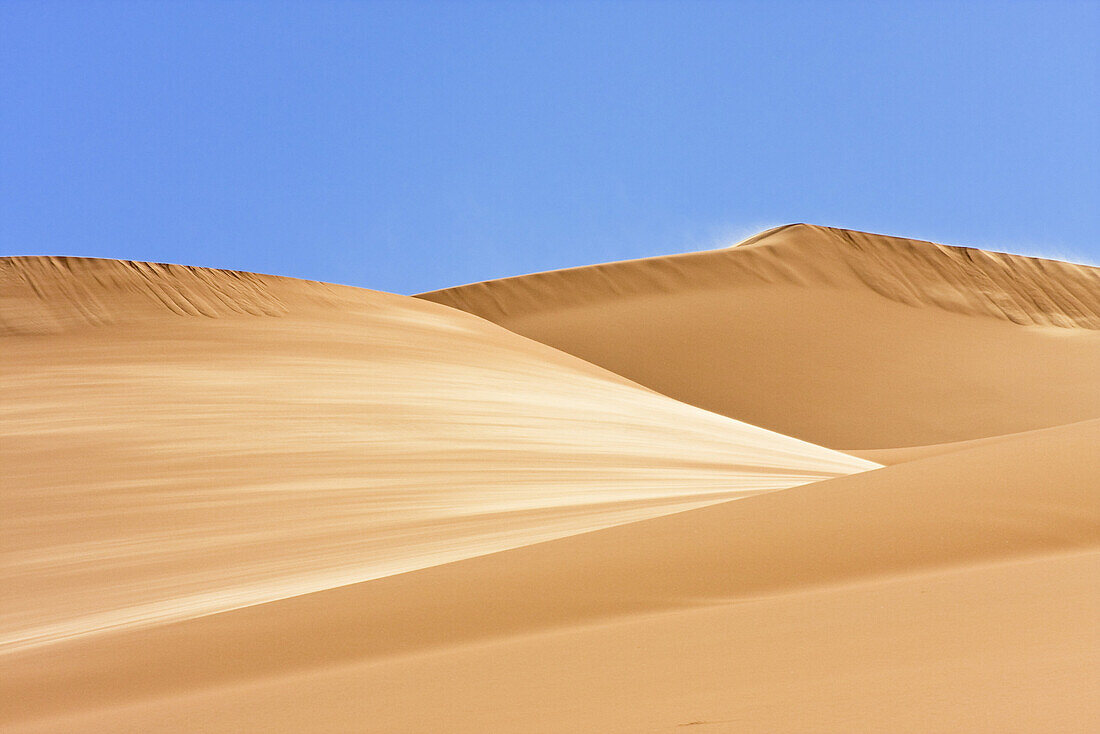 Sanddünen bei Wind, libysche Wüste, Sahara, Libyen, Nordafrika