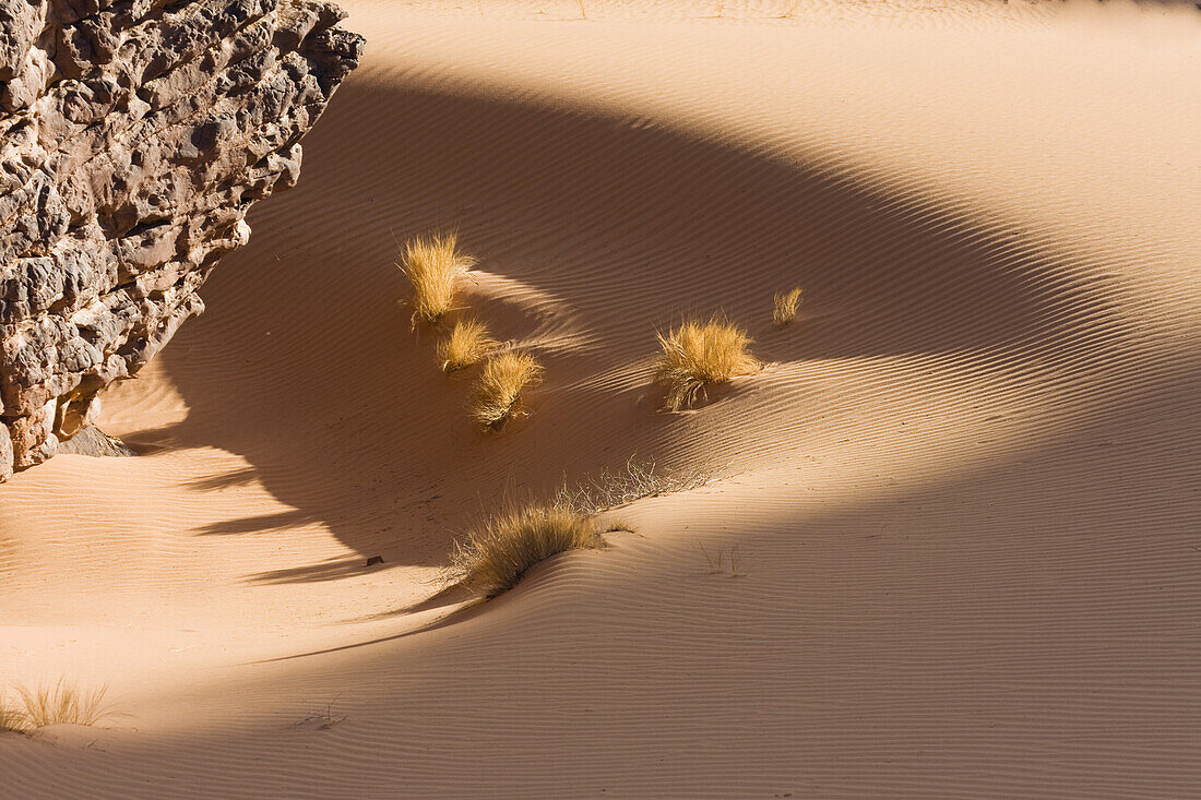 Sandformation mit Gras und Felsen in der libysche Wüste, Sahara, Akakus Gebirge, Libyen, Nordafrika