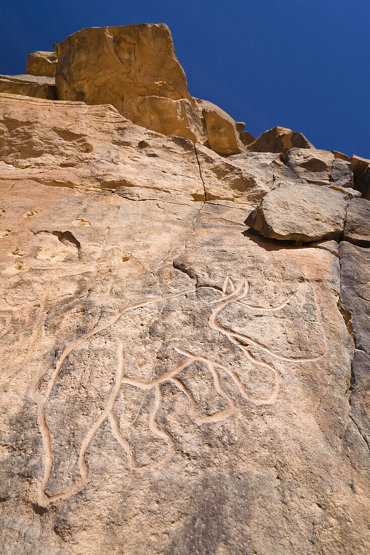 Stone engravings of a Rhino in Wadi Mathendous, Wadi Barjuj, Stony Desert, Libya, Sahara, North Africa
