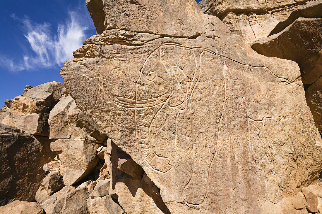 Steingravur im Wadi Mathendous, Elefant, Wadi Barjuj, Steinwüste, Libyen, Sahara, Afrika