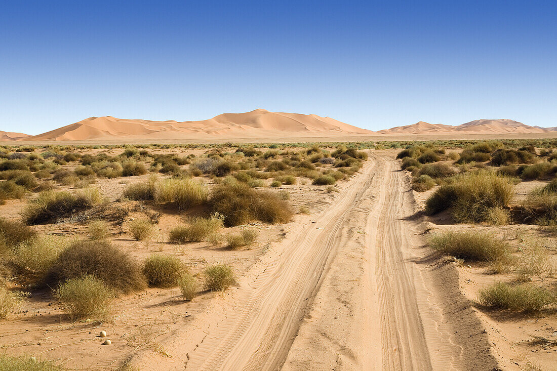 Sandpiste, Sanddünen, libysche Wüste, Sahara, Libyen, Nordafrika