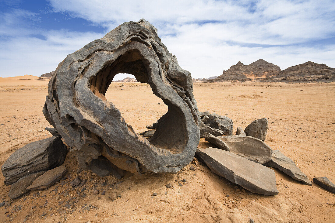 Versteinerter Baumstamm, Akakus Gebirge, Libyen, Sahara, Afrika