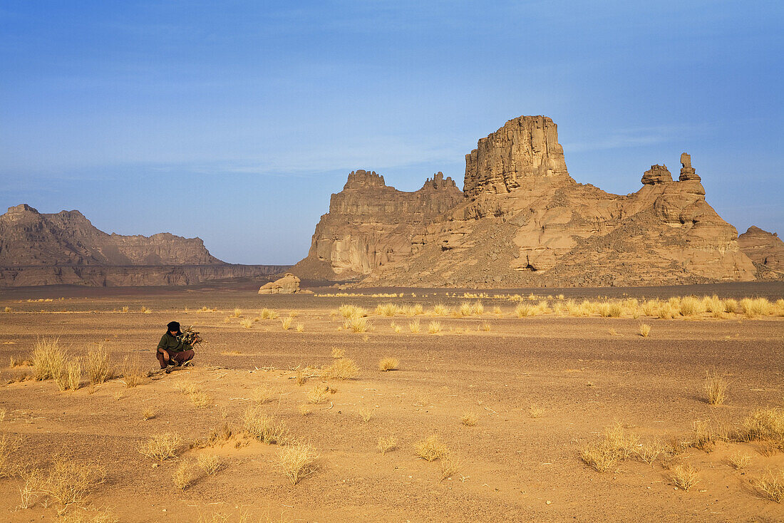 Tuareg sammelt Brennholz, Akakus Gebirge, Libyen, Sahara, Nordafrika