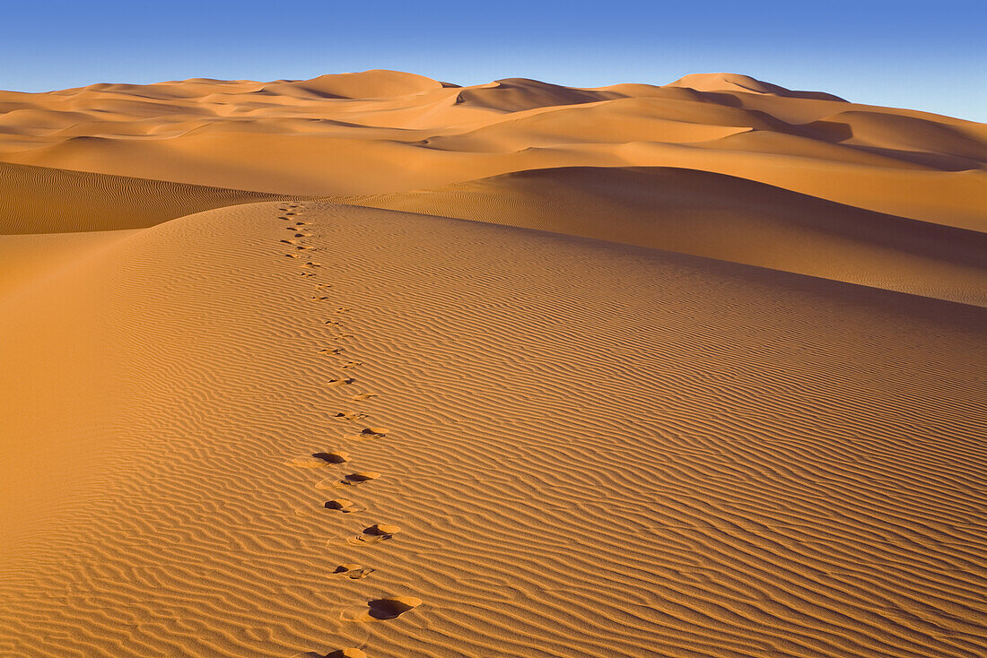 Fußspuren in der libyschen Wüste, Libyen, Sahara, Nordafrika