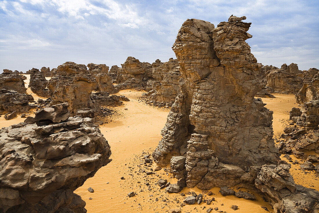 stony desert, Tassili Maridet, Libya, Sahara, North Africa