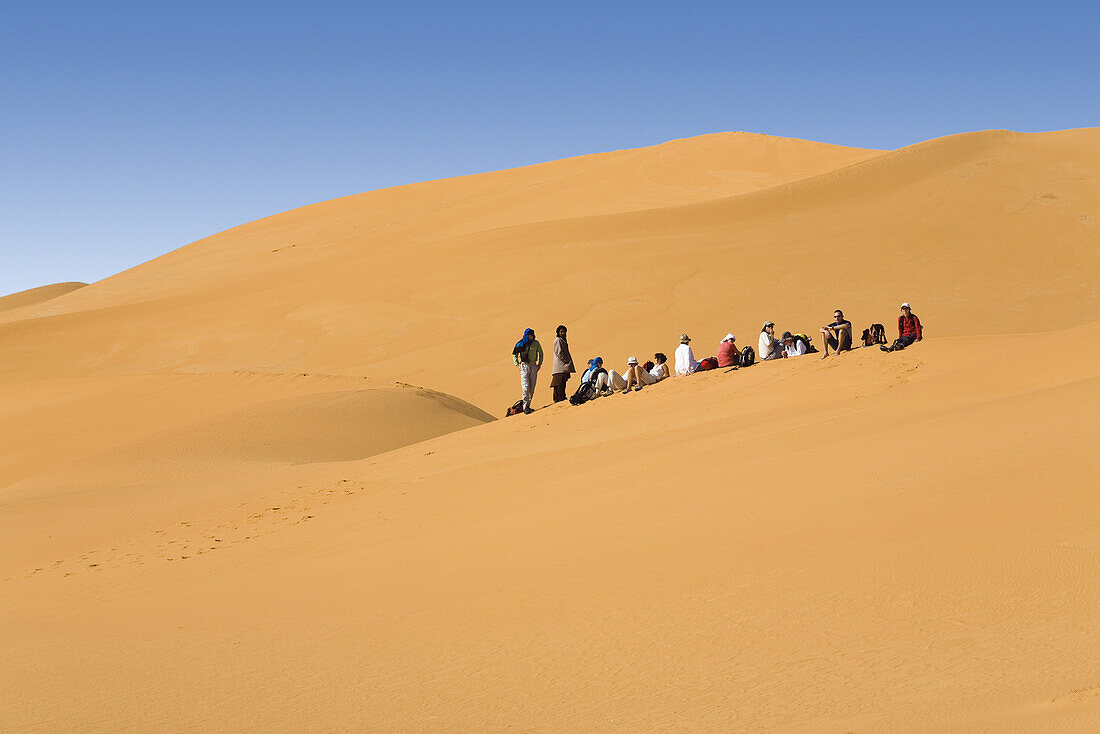 Kamel Karawane in der libyschen Wüste, Dromedare, Camelus dromedarius, Libyen, Sahara, Nordafrika