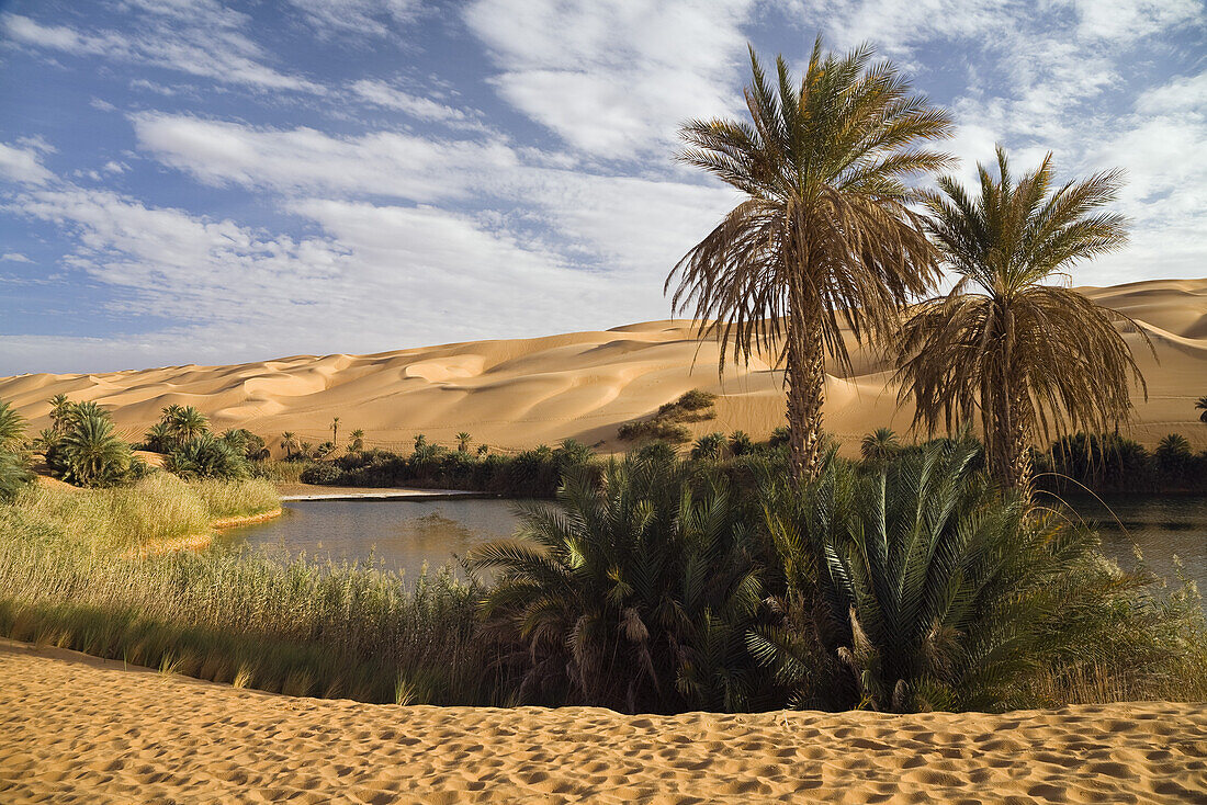 Mandara Seen in den Dünen von Ubari, Oase Um el Ma, libysche Wüste, Sahara, Libyen, Afrika