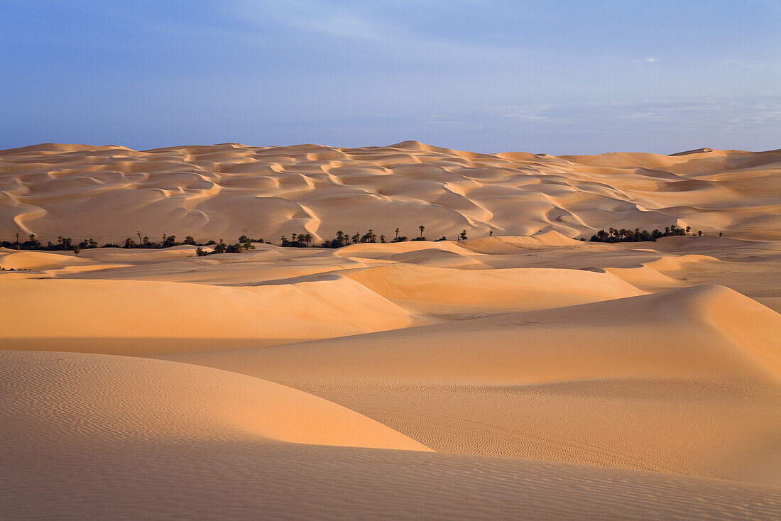 Oase Um el Ma und Sanddünen, libysche Wüste, Libyen, Sahara, Afrika