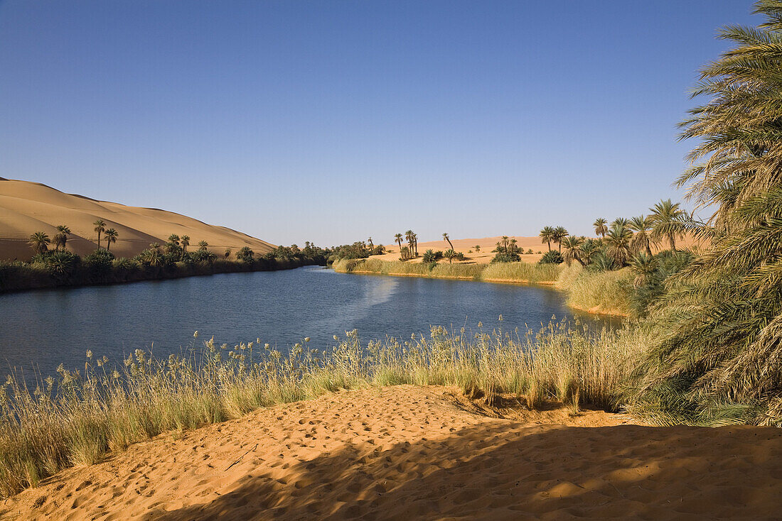 Mandara Lakes in the dunes of Ubari, oasis Um el Ma, libyan desert, Libya, Sahara, North Africa