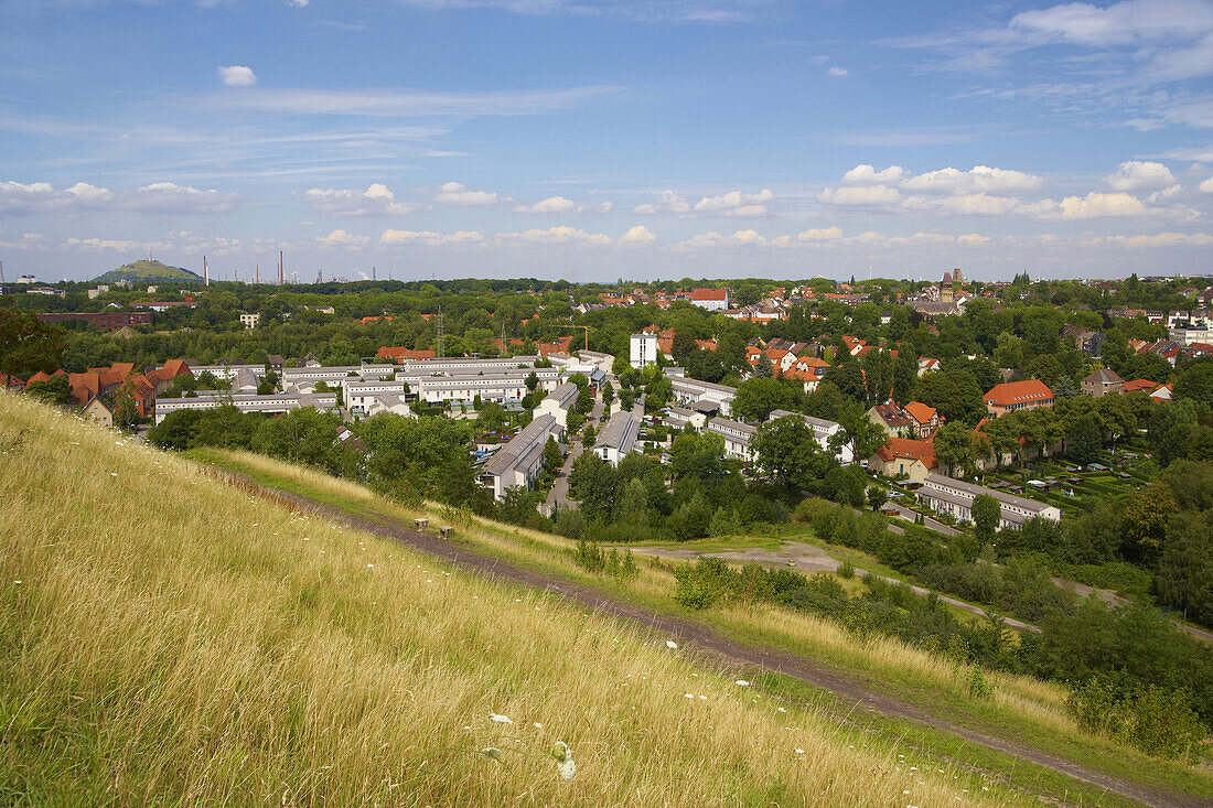 Blick über Siedlung Schüngelberg, Gelsenkirchen-Buer, Nordrhein-Westfalen, Deutschland