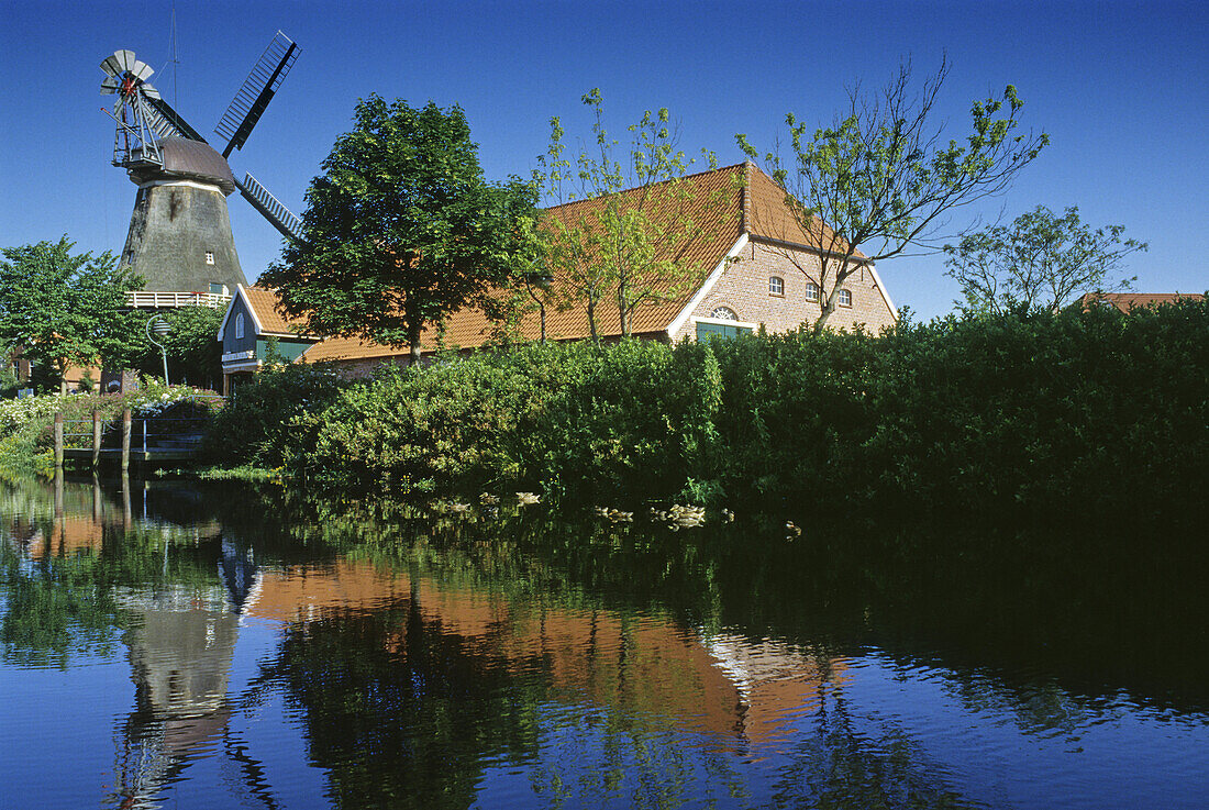 Windmühle und Bauernhaus, Ostgroßefehn, Ostfriesland, Nordsee, Niedersachsen, Deutschland