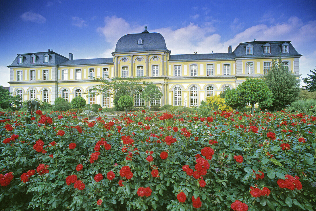 Poppelsdorf palace, Bonn, Rhine river, North Rhine-Westphalia, Germany