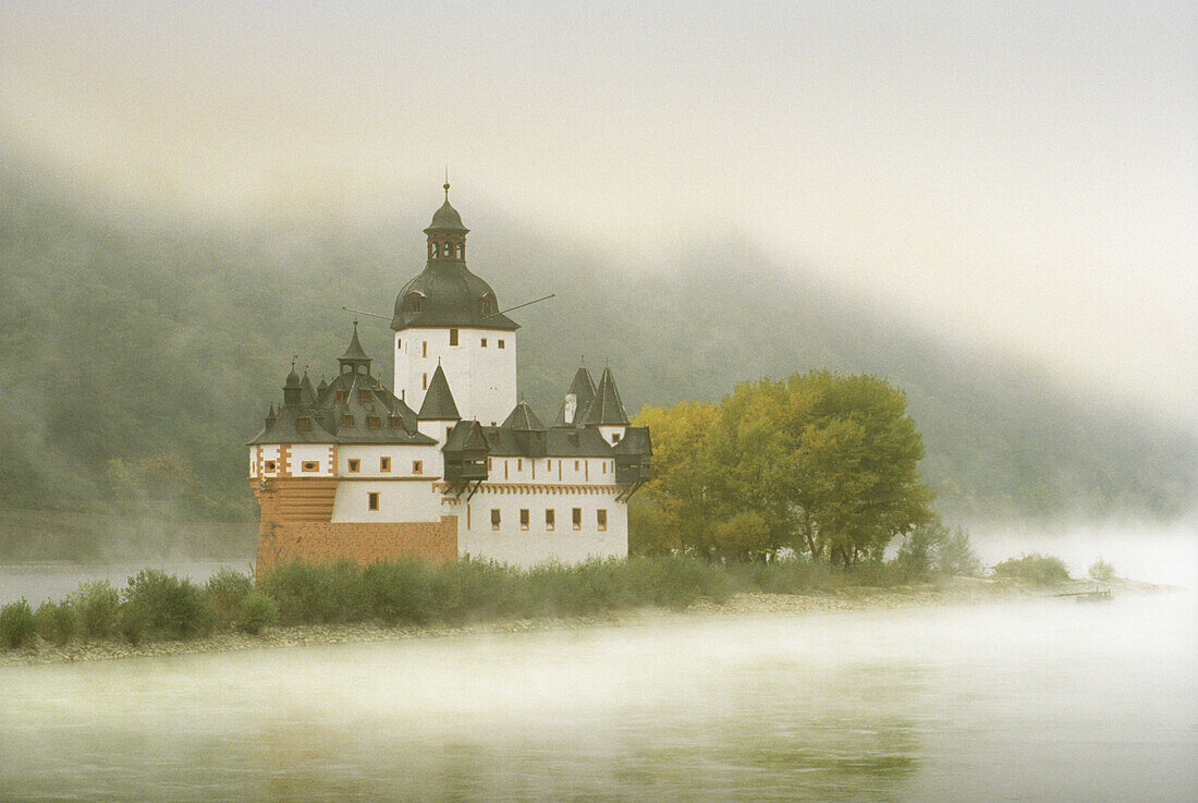 Burg Pfalzgrafenstein im Morgennebel, bei Kaub, Rhein, Rheinland-Pfalz, Deutschland