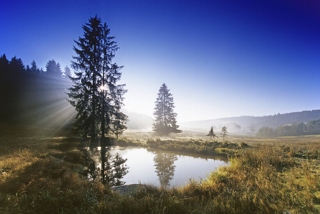 Morgenstimmung an einem kleinen Teich, bei Waldau, Schwarzwald, Baden-Württemberg, Deutschland