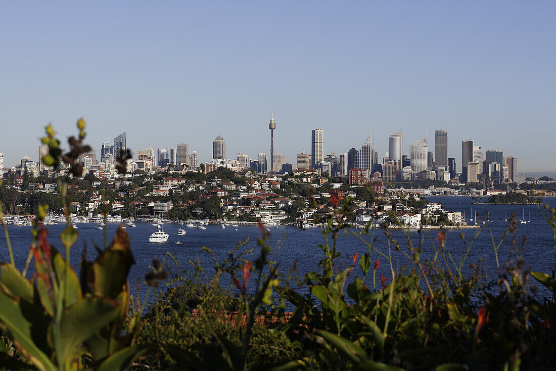 Vaucluse, Blick über Rose Bay auf Sydney Skyline, Sydney, New South Wales, Australien