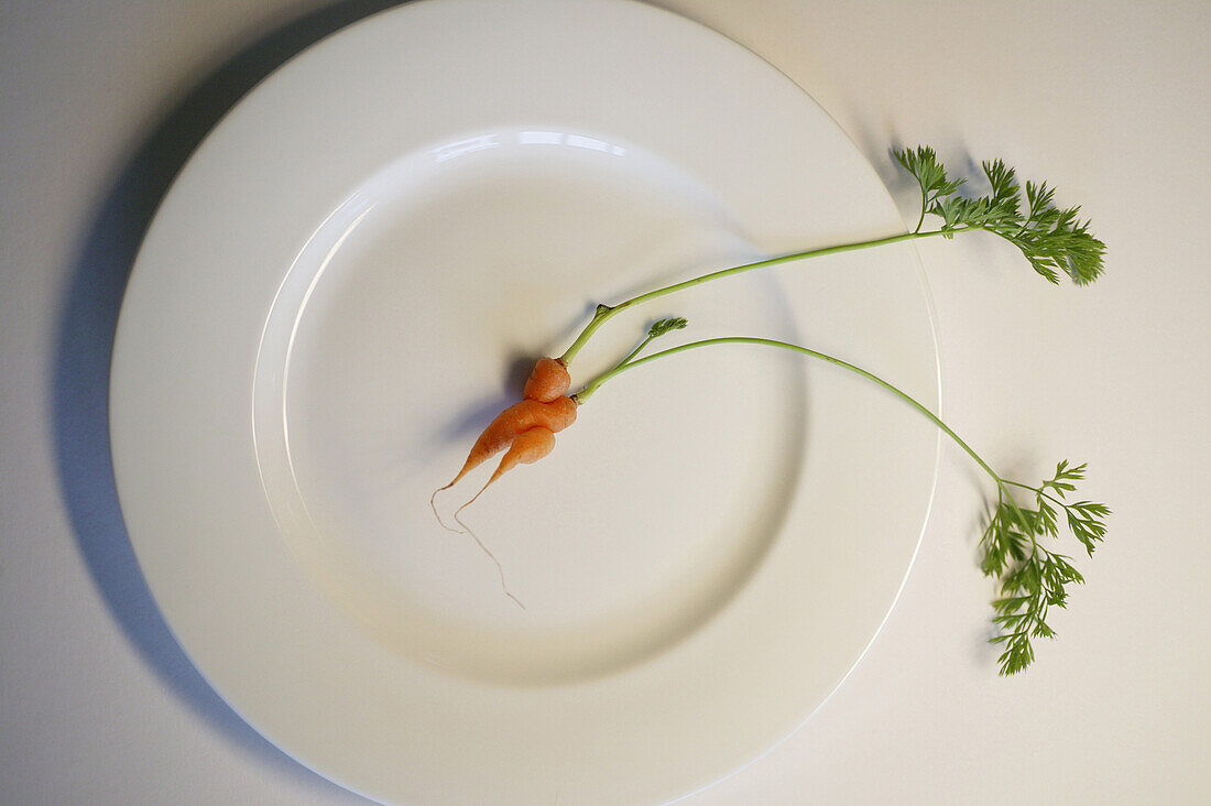 Plate with two carrots that have grown together, Entwine, Slow food, Bavaria, Germany