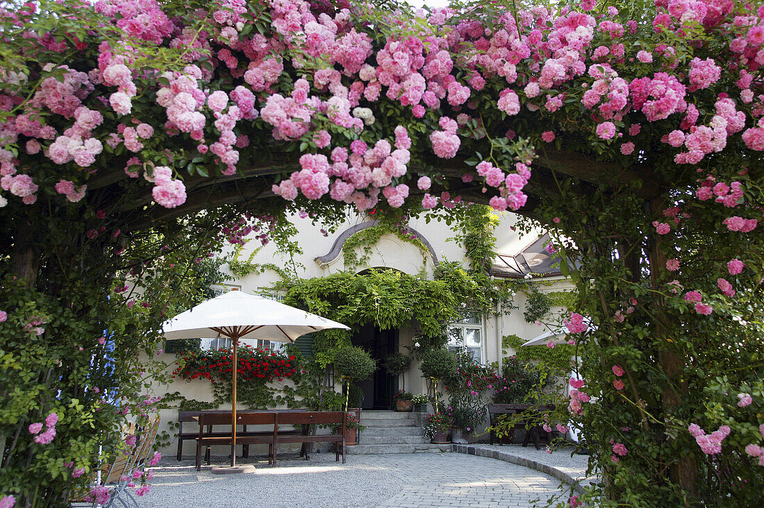 Hotel zur Linde, rose arch entrance, island of Frauenchiemsee, Lake Chiemsee, Bavaria, Germany