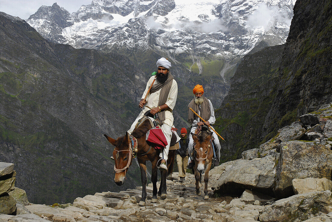 Sikh Pilger auf Maultieren zum heiligen See Hemkund im Garhwal Himalaya, Uttarakhand, Indien, Asien