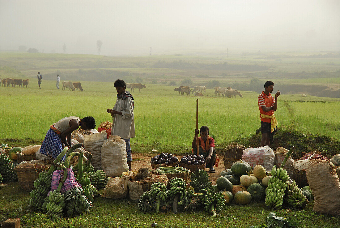 Market stalls in front of green rice fields, Tribal region in Koraput district in southern Orissa, India, Asia