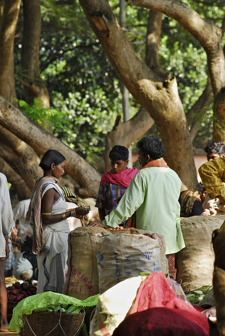 Market stalls beneath huge mango trees, Tribal region in Koraput district in southern Orissa, India, Asia