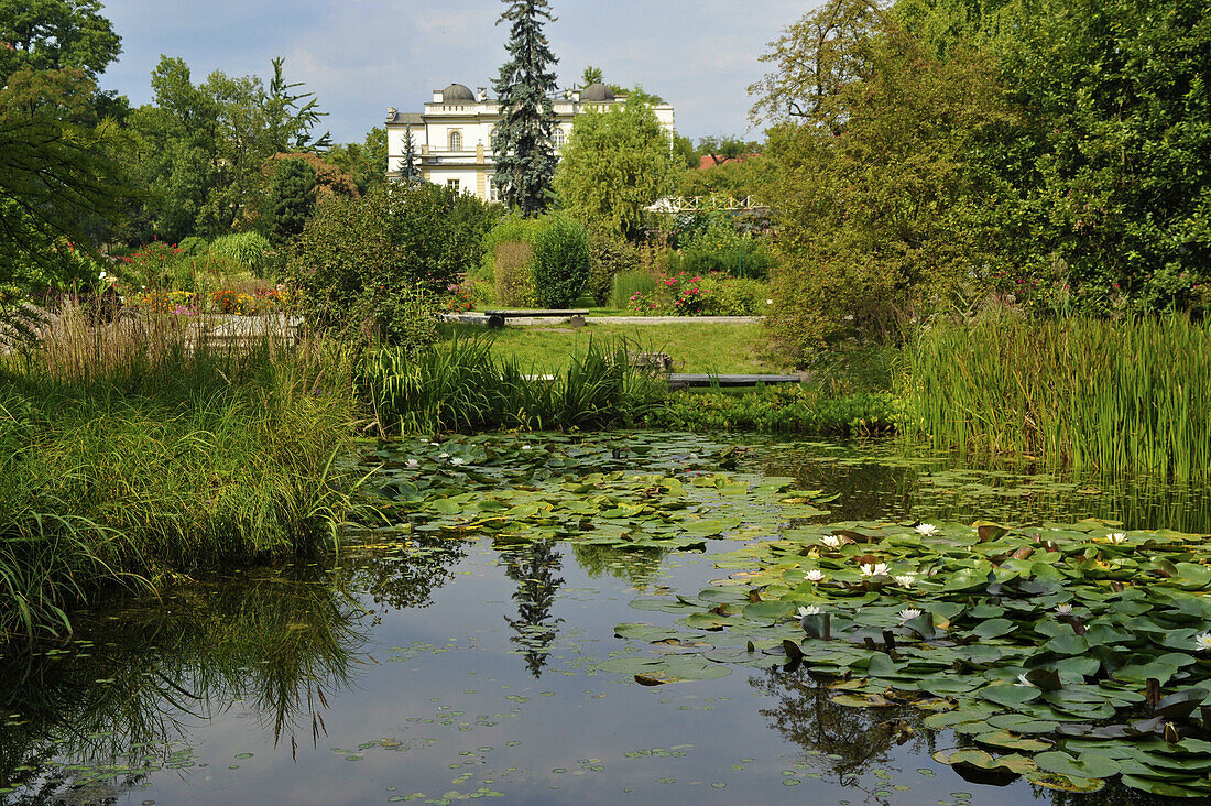 Ogrod botaniczny, Teich im botanischen Garten, Krakau, Polen, Europa
