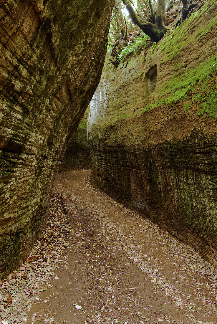 Etruskischer in den Tuffstein geschnittener Hohlweg, Grosseto Region, Toskana, Italien, Europa