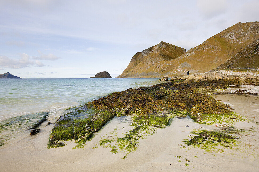 Lonesome sandy beach under clouded sky, Lofoten, Norway, Scandinavia, Europe