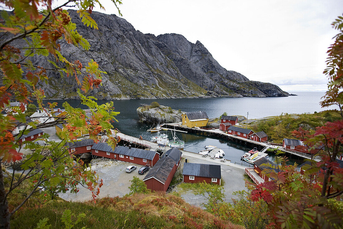 Blick auf Rorbu Hütten in Nusfjord, Lofoten, Nordnorwegen, Norwegen, Skandinavien, Europa