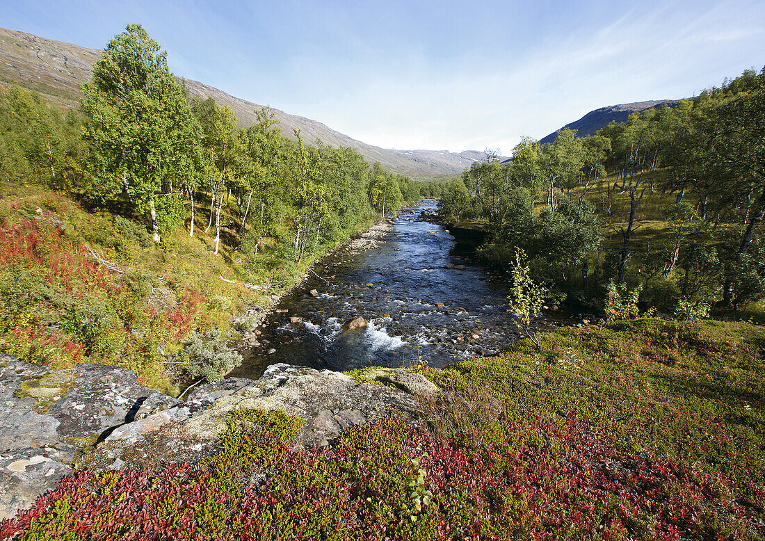 Fluß im Storengdalen im Herbst, Sjurfjellet Saltar, Norwegen, Skandinavien, Europa