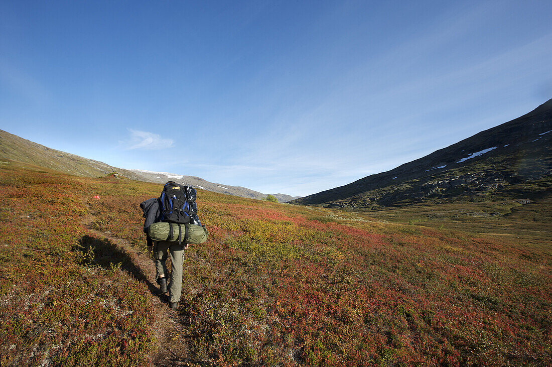 Wanderin mit Rucksack im Storengdalen, Sjurfjellet Saltar, Norwegen, Skandinavien, Europa