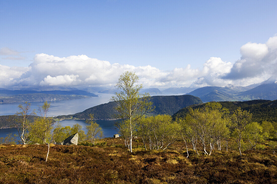 Blick auf den Hardangerfjord, Folgefonn Halbinsel, Kvinnherad, Hardanger, Fjordnorwegen, Westnorwegen, Norwegen, Skandinavien, Europa