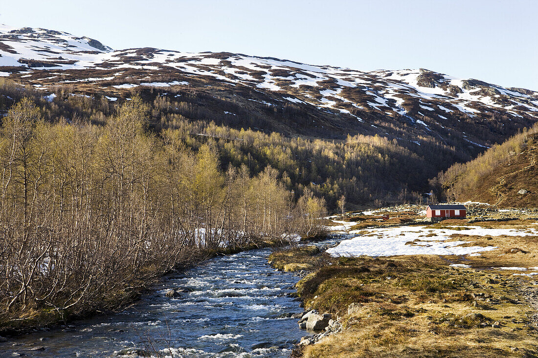 Rotes Holzhaus am Fluß vor schneebedeckten Bergen, Roldal, Hordaland,  Südnorwegen, Norwegen, Skandinavien, Europa