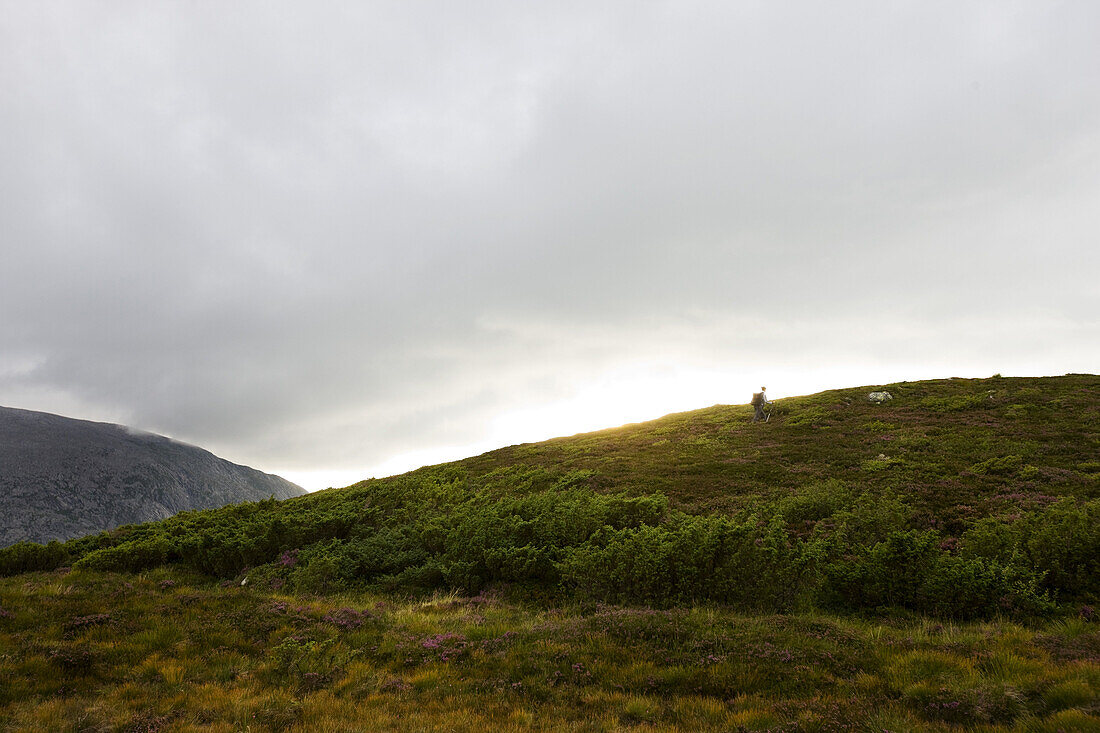 Fjell landscape at Folgefonn peninsula under clouded sky, Kvinnherad, Hordaland, Norway, Scandinavia, Europe