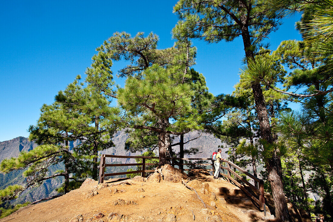 Menschen am Aussichtspunkt Mirador de las Chozas, Caldera de Taburiente, Parque Nacional de Taburiente, La Palma, Kanarische Inseln, Spanien, Europa