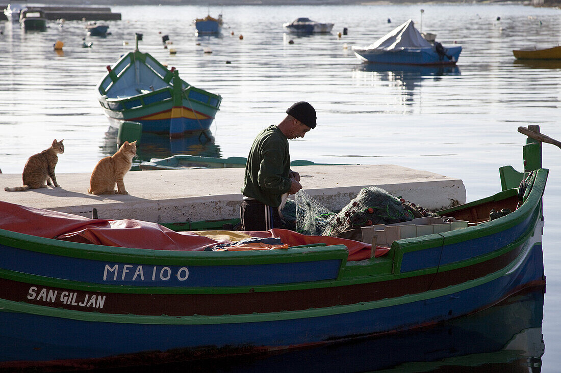 Two cats and a fisherman in a traditional fishing boat, a Luzzu at Spinola Bay, St, Julian's, Malta, Europe