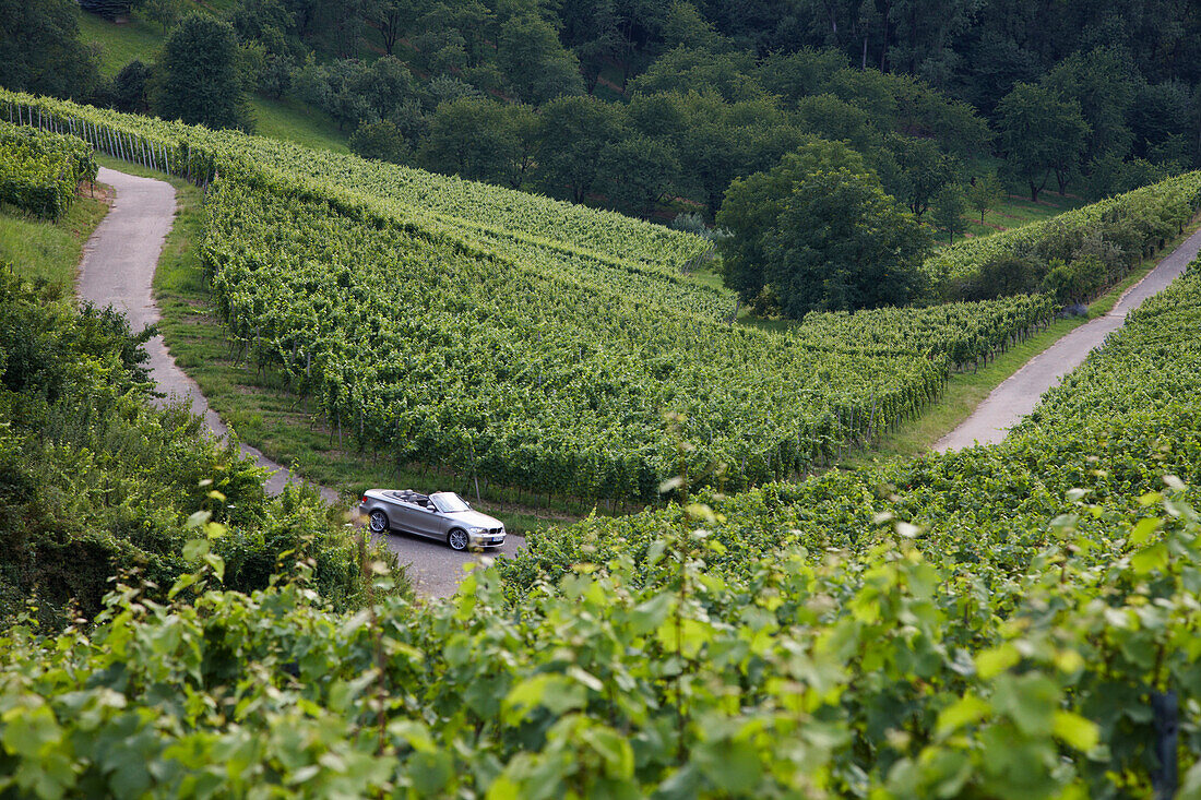 Cabrio auf einer Landstraße zwischen Weinbergen bei Baden-Baden, Baden-Württemberg, Deutschland