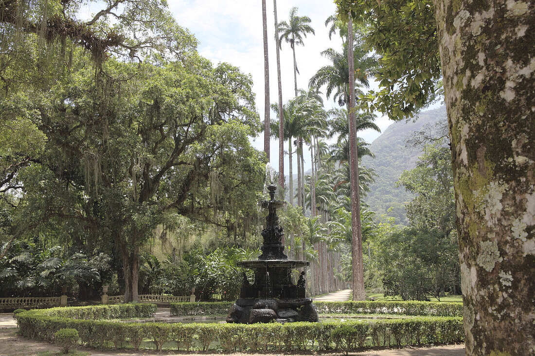 Springbrunnen im Jardim Botanico, Botanischer Garten, tropischer Park in Rio de Janeiro, Brasilien