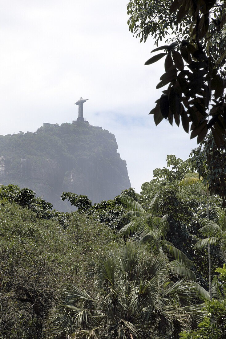 Christ the Redeemer statue on Corcovado mountain seen from Jardim Botanico, Botanical Garden, tropical park in Rio de Janeiro, Brazil