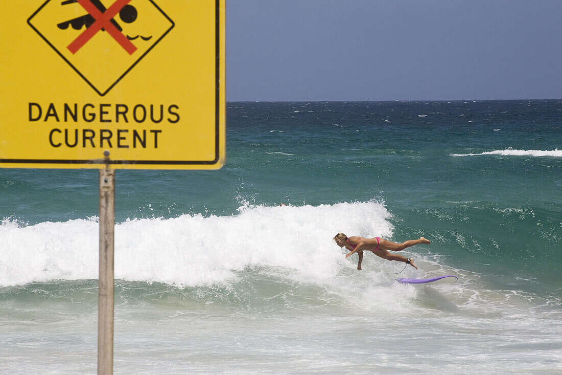 Wellenreiter, Surfer am Strand von Bondi Beach, Waverley Council, Sydney, New South Wales, Australien