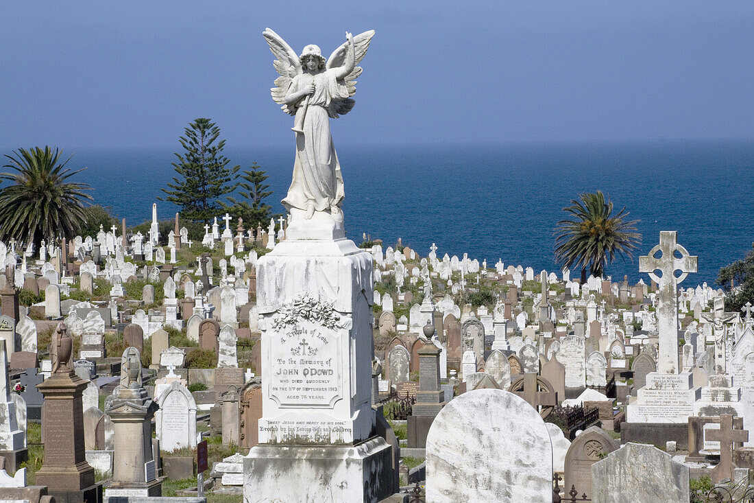 Waverley Cemetery, Sydney, New South … – License image – 70294937 ...