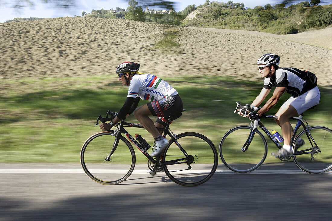 Zwei Rennradfahrer auf einer Landstrasse, Marken, Italien, Europa