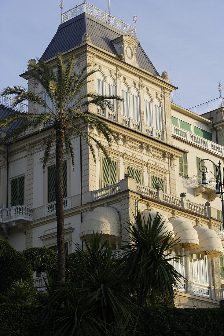 House with palm trees, Santa Margherita, Liguria, Italy, Europe
