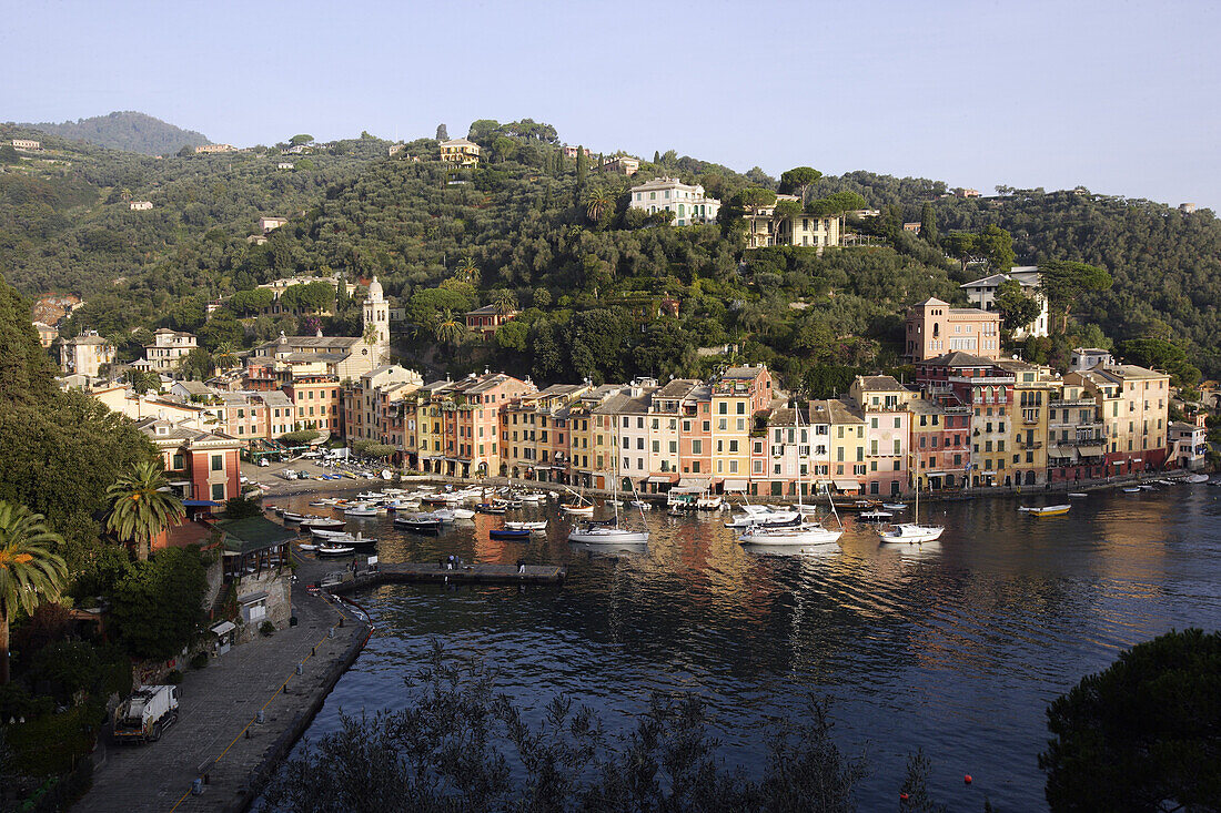 View at boats at harbour, Portofino, Liguria, Italy, Europe