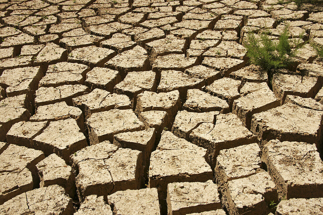 Drought, water rain missing