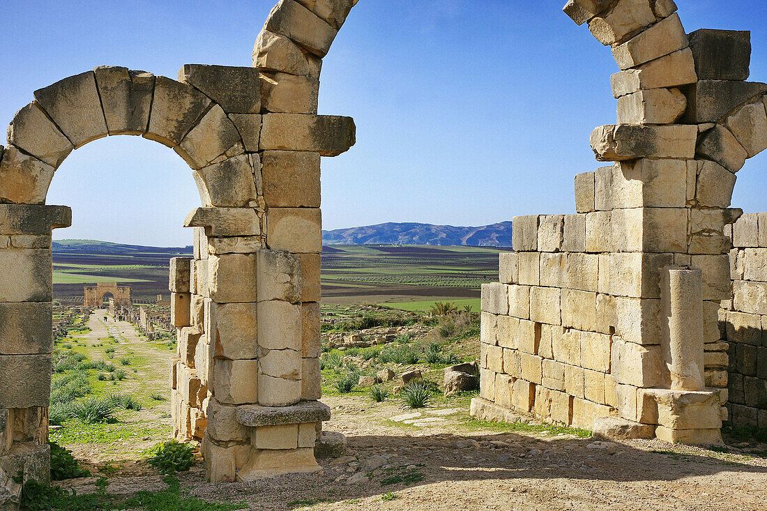 Roman ruins of Volubilis near Meknes, Morocco